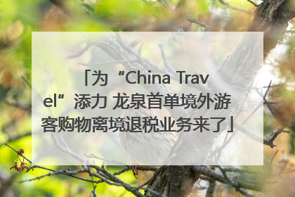 为“China Travel”添力 龙泉首单境外游客购物离境退税业务来了