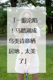 一眼沦陷！马踏湖成鸟类诗意栖居地，太美了