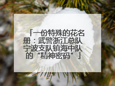 一份特殊的花名册：武警浙江总队宁波支队镇海中队的“精神密码”