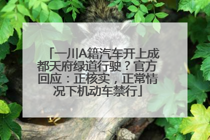 一川A籍汽车开上成都天府绿道行驶？官方回应：正核实，正常情况下机动车禁行