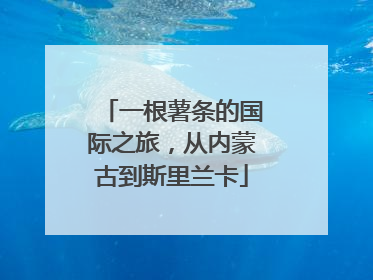 一根薯条的国际之旅，从内蒙古到斯里兰卡