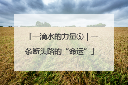 一滴水的力量⑤｜一条断头路的“命运”
