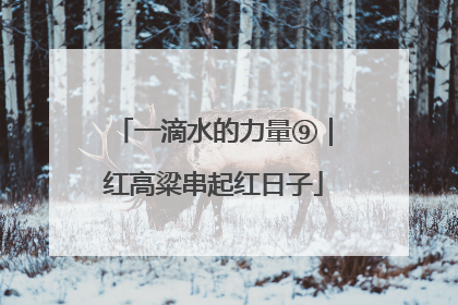 一滴水的力量⑨｜红高粱串起红日子