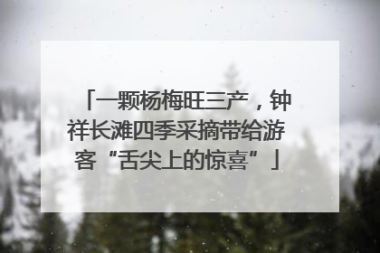 一颗杨梅旺三产，钟祥长滩四季采摘带给游客“舌尖上的惊喜”