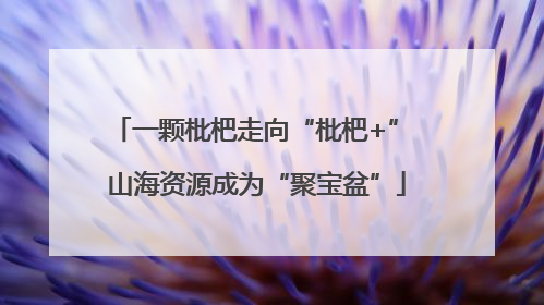 一颗枇杷走向“枇杷+” 山海资源成为“聚宝盆”