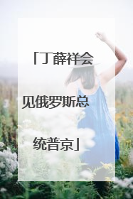 丁薛祥会见俄罗斯总统普京
