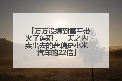 万万没想到雷军带火了莲藕，一天之内卖出去的莲藕是小米汽车的22倍