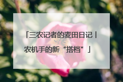 三农记者的麦田日记丨农机手的新“搭档”