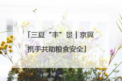 三夏“丰”景｜京冀携手共助粮食安全