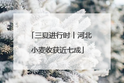 三夏进行时丨河北小麦收获近七成