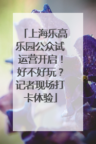 上海乐高乐园公众试运营开启！好不好玩？记者现场打卡体验