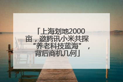 上海划地2000亩，邀腾讯小米共探“养老科技蓝海”，背后商机几何