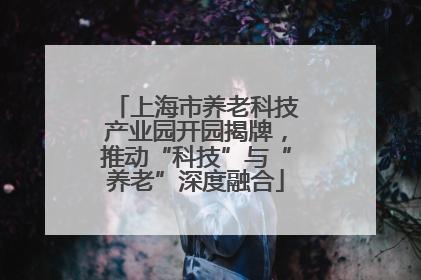 上海市养老科技产业园开园揭牌，推动“科技”与“养老”深度融合