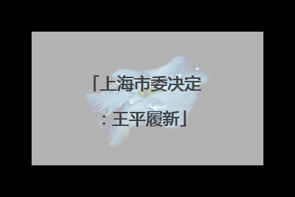 上海市委决定：王平履新