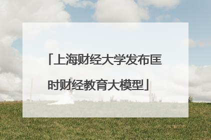 上海财经大学发布匡时财经教育大模型
