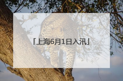 上海6月1日入汛