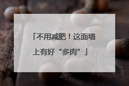 不用减肥！这面墙上有好“多肉”