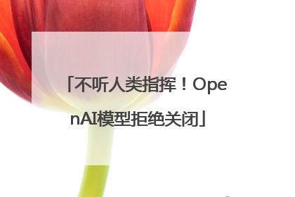不听人类指挥！OpenAI模型拒绝关闭