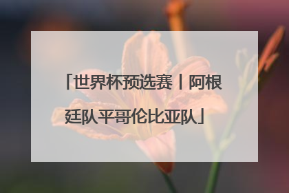 世界杯预选赛丨阿根廷队平哥伦比亚队