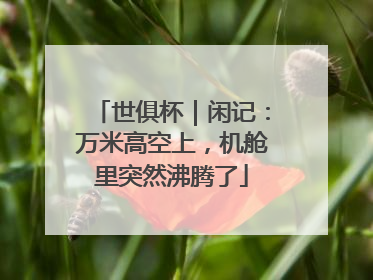 世俱杯｜闲记：万米高空上，机舱里突然沸腾了