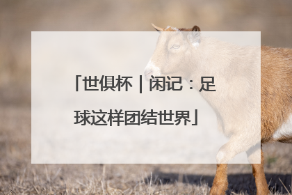 世俱杯｜闲记：足球这样团结世界