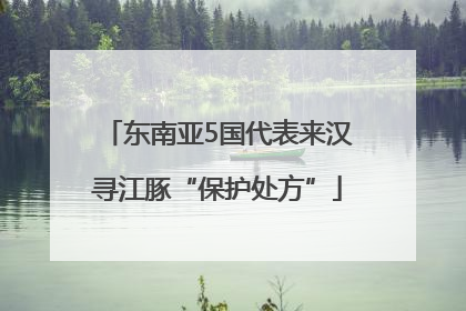 东南亚5国代表来汉寻江豚“保护处方”