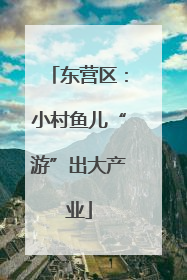 东营区：小村鱼儿“游”出大产业