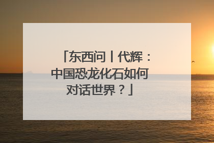 东西问丨代辉：中国恐龙化石如何对话世界？