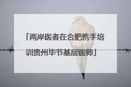 两岸医者在合肥携手培训贵州毕节基层医师