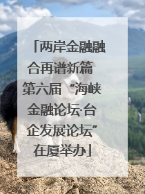 两岸金融融合再谱新篇 第六届“海峡金融论坛·台企发展论坛”在厦举办