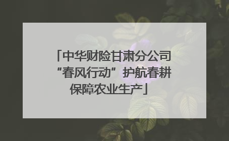中华财险甘肃分公司“春风行动”护航春耕 保障农业生产