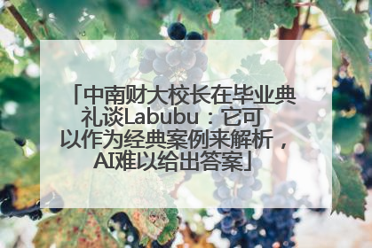 中南财大校长在毕业典礼谈Labubu：它可以作为经典案例来解析，AI难以给出答案