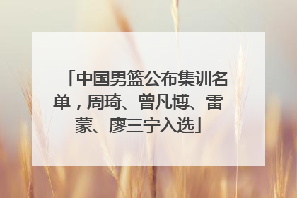 中国男篮公布集训名单，周琦、曾凡博、雷蒙、廖三宁入选