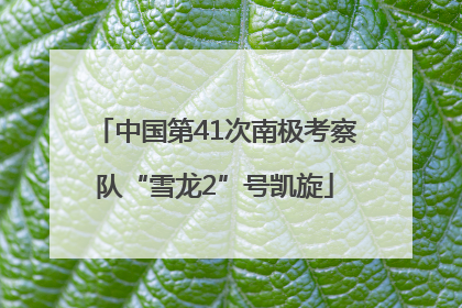 中国第41次南极考察队“雪龙2”号凯旋