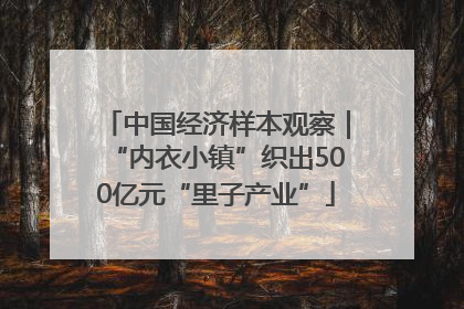 中国经济样本观察｜“内衣小镇”织出500亿元“里子产业”