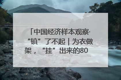 中国经济样本观察·“镇”了不起｜为衣做架，“挂”出来的80亿元“衣架产业”