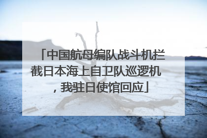 中国航母编队战斗机拦截日本海上自卫队巡逻机，我驻日使馆回应