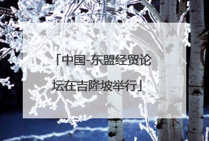 中国-东盟经贸论坛在吉隆坡举行
