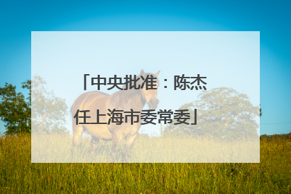 中央批准：陈杰任上海市委常委