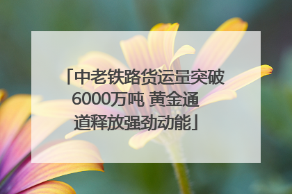 中老铁路货运量突破6000万吨 黄金通道释放强劲动能