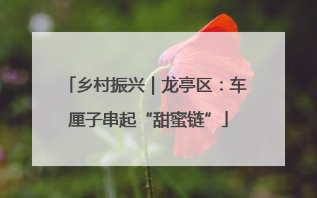 乡村振兴｜龙亭区：车厘子串起“甜蜜链”