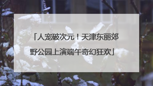 人宠破次元！天津东丽郊野公园上演端午奇幻狂欢
