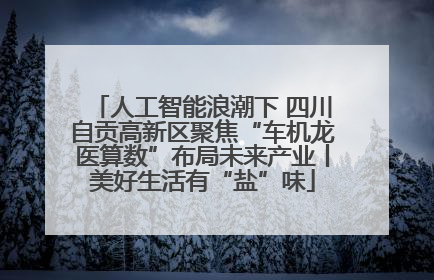 人工智能浪潮下 四川自贡高新区聚焦“车机龙医算数”布局未来产业丨美好生活有“盐”味
