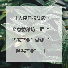 人民日报头版刊文点赞潍坊：把“当家产业”做成“担当产业”！