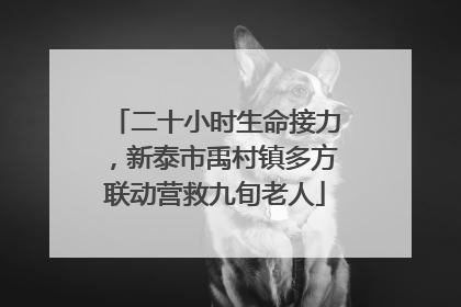 二十小时生命接力，新泰市禹村镇多方联动营救九旬老人
