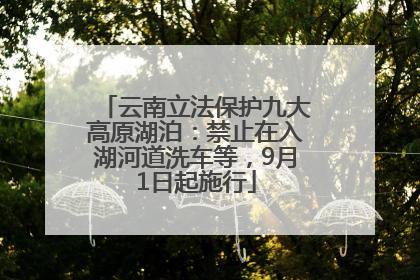 云南立法保护九大高原湖泊：禁止在入湖河道洗车等，9月1日起施行