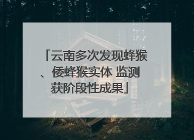 云南多次发现蜂猴、倭蜂猴实体 监测获阶段性成果