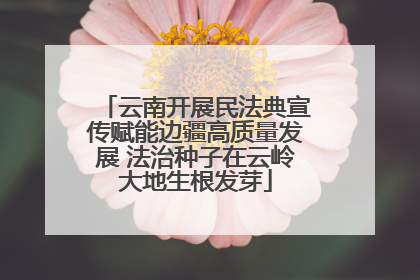 云南开展民法典宣传赋能边疆高质量发展 法治种子在云岭大地生根发芽