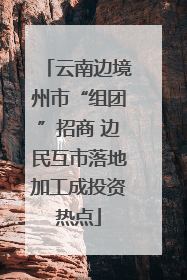 云南边境州市“组团”招商 边民互市落地加工成投资热点