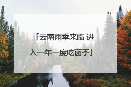 云南雨季来临 进入一年一度吃菌季